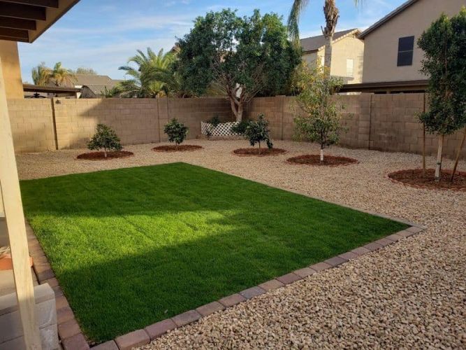 grass-kings-gallery03